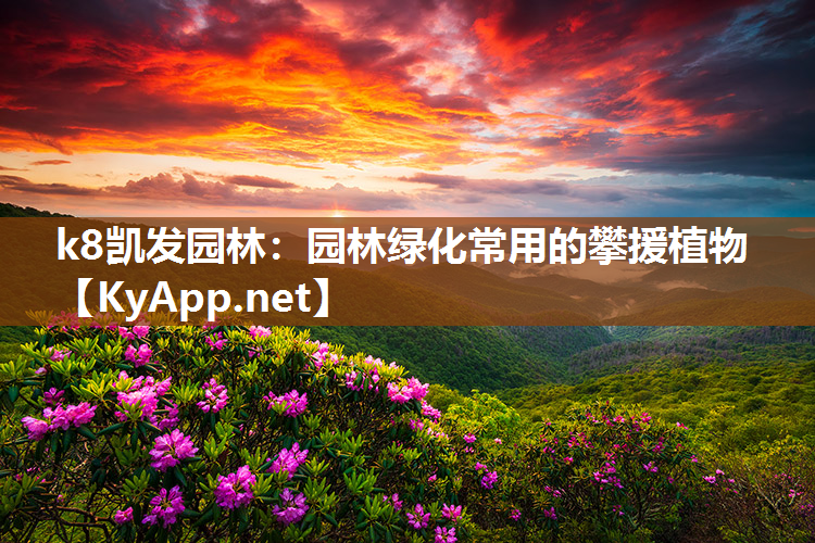 k8凯发园林：园林绿化常用的攀援植物