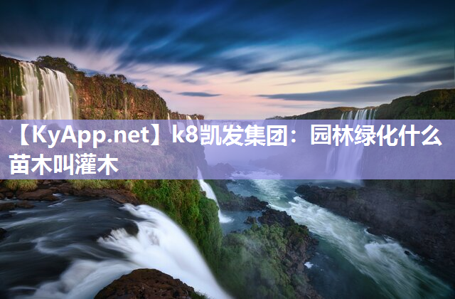 k8凯发集团：园林绿化什么苗木叫灌木