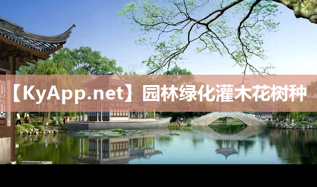 园林绿化灌木花树种