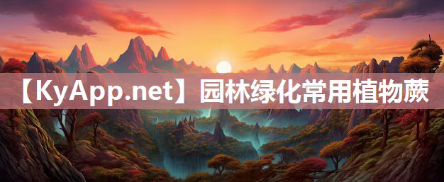 园林绿化常用植物蕨