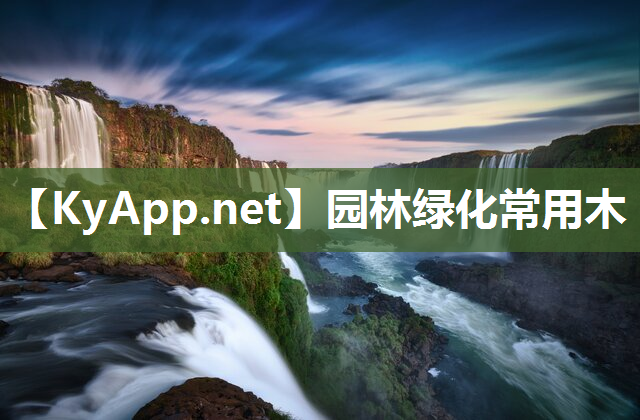 园林绿化常用木
