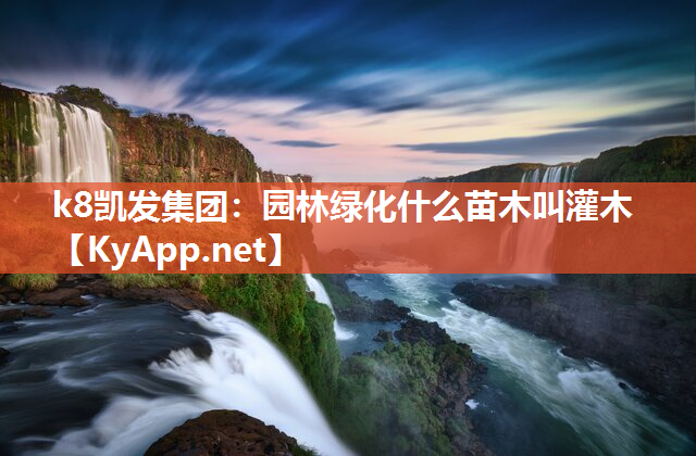 园林绿化什么苗木叫灌木