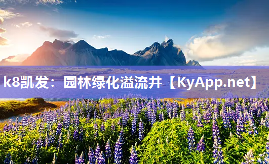 园林绿化溢流井