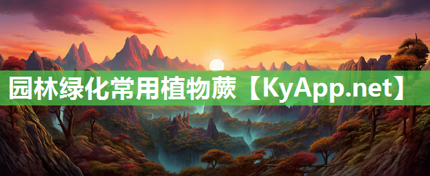 园林绿化常用植物蕨