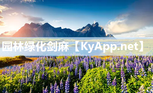 园林绿化剑麻
